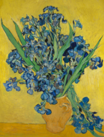 Vang Gogh Lilies - La Florela