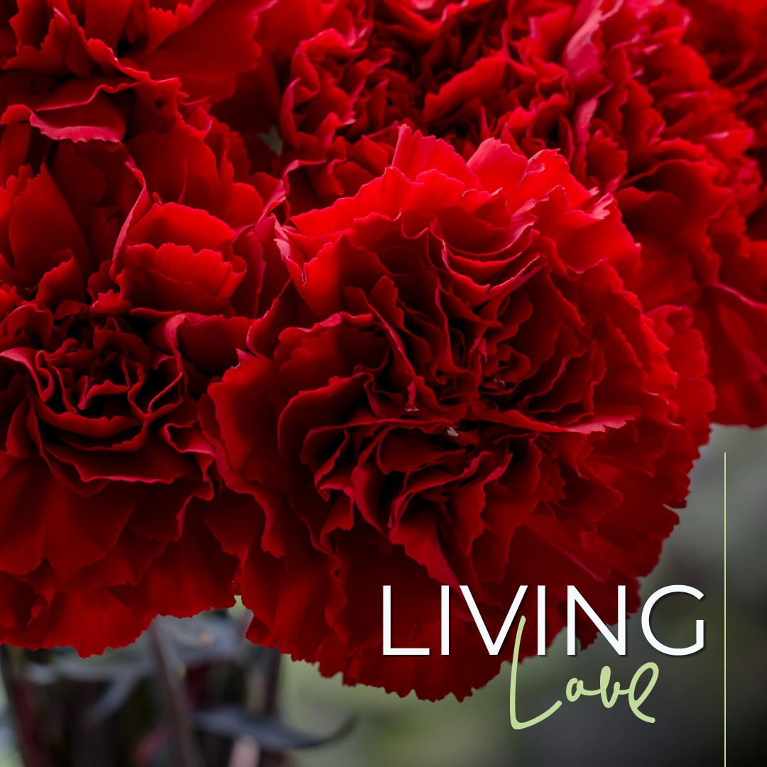 Living Love florist delivery - La Florela