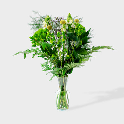 Flowers Freshness Craspedia Bouquet - La Florela