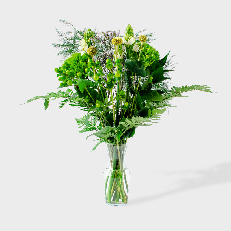 Flowers Freshness Craspedia Bouquet - La Florela