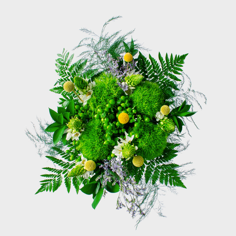 Flowers Freshness Craspedia Bouquet - La Florela