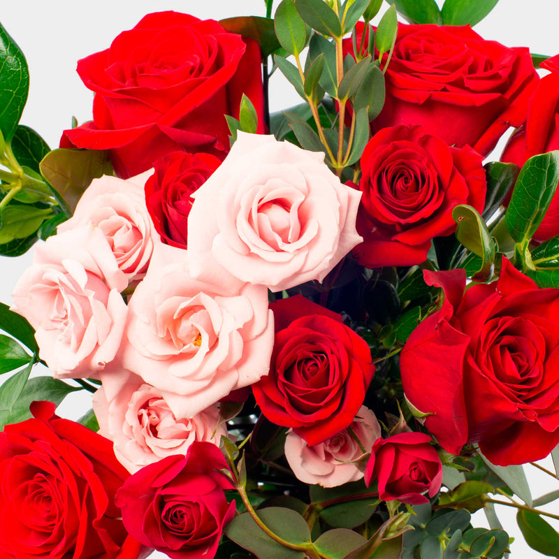 Roses Sprinkle of Kindness - La Florela