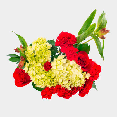 Special Occasion Hydrangeas Bouquet - La Florela